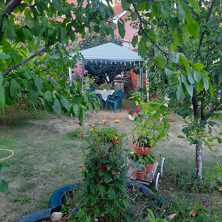 Apartman Drina Berilovac ภายนอก รูปภาพ