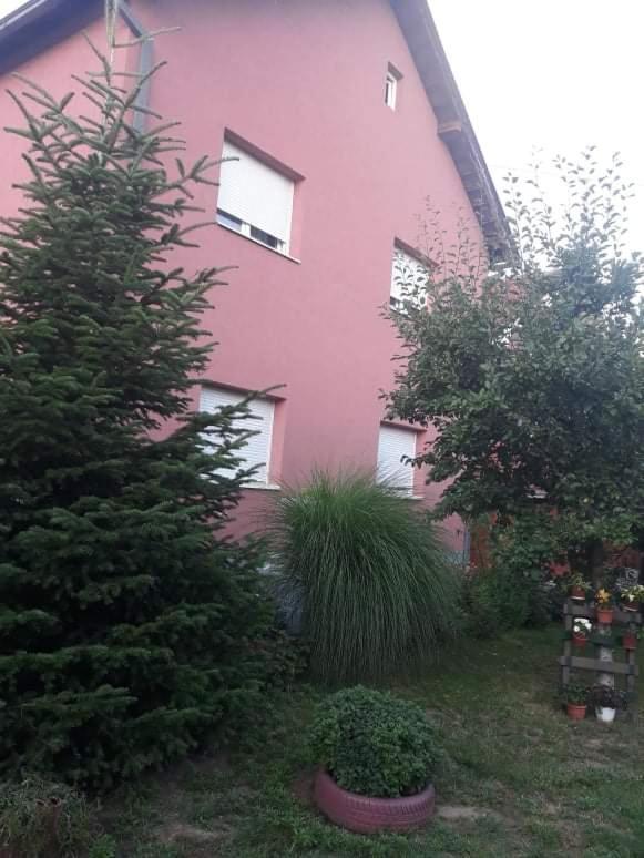 Apartman Drina Berilovac ภายนอก รูปภาพ
