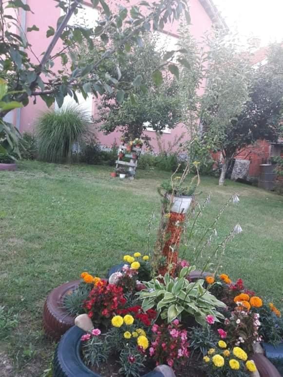 Apartman Drina Berilovac ภายนอก รูปภาพ